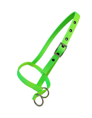 Nylon Calf Leading Halter - Asstd colours