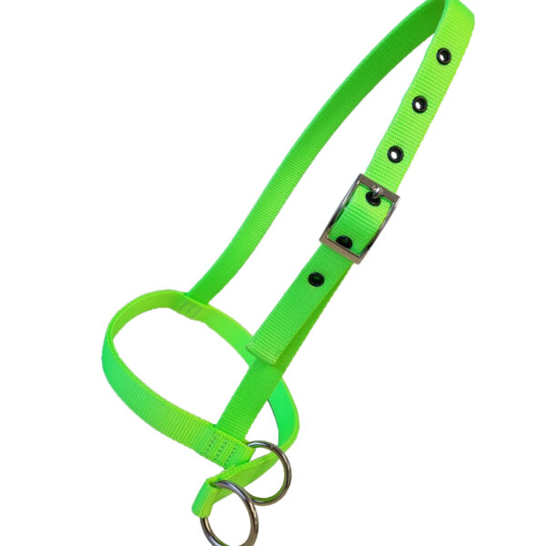 Nylon Calf Halter Tethering - Asstd colours*
