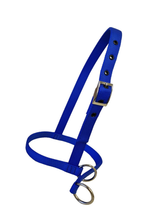 Nylon Calf Leading Halter - Asstd colours - Image 2