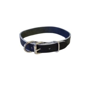 Drovers Dog Collar