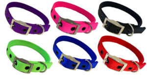 Nylon Collars - Dogs, Sheep, Goats