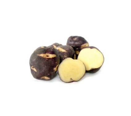 Seed Spuds & Garlic