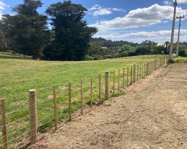 Fencing
