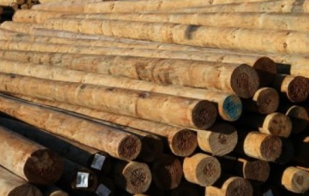 H5 Construction Poles SED 175-199mm 4.2m