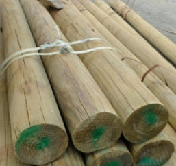 H5 Uni Round Pole 155mm x 3.6m - Image 3