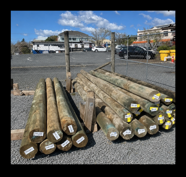 H5 Construction Poles SED 200-244mm 5.4m