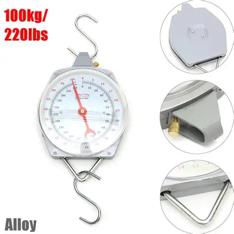 Scale Clockface Economy 100 kg