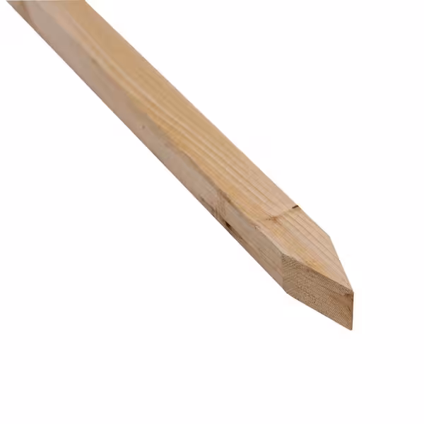 Tree Stake Treated H4 - W: 50mm, D: 50mm, L: 1500mm