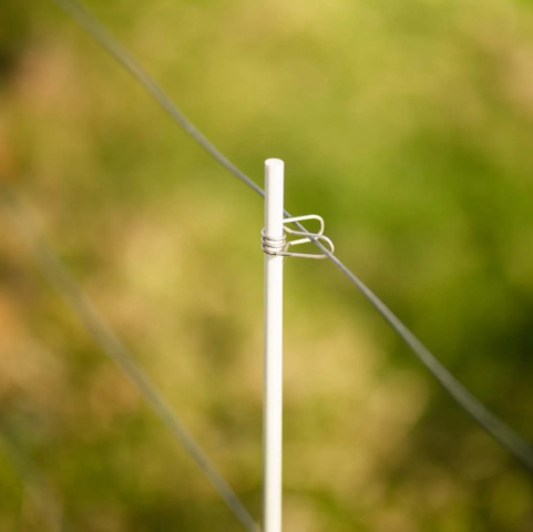 Primehort Fibreglass Rod 10mm x 2m - single / each - Image 2