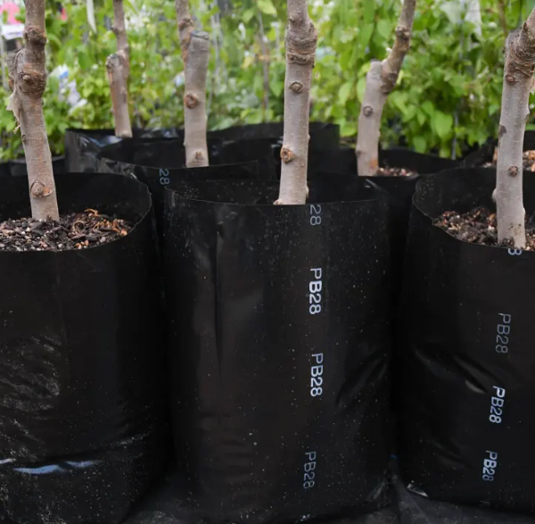 PB28 Planter Bags 10 pack