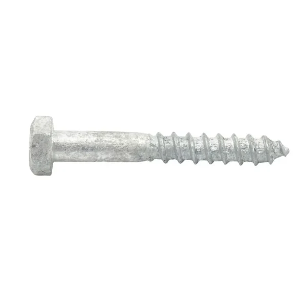 Ecko Coach Screw HD Galvanised M8
