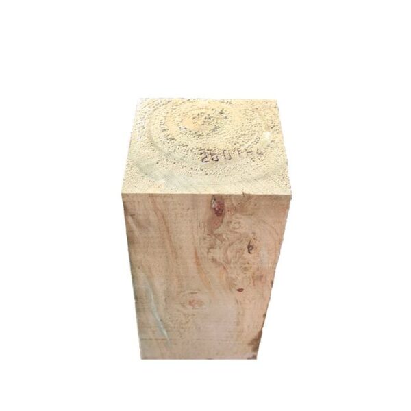 Radiata Square Fence Post 100 x 100mm 1.8m