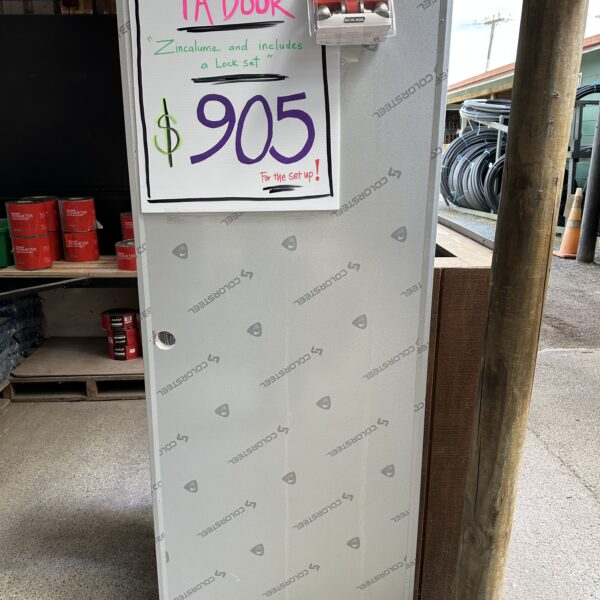 Steel Personal Access Door